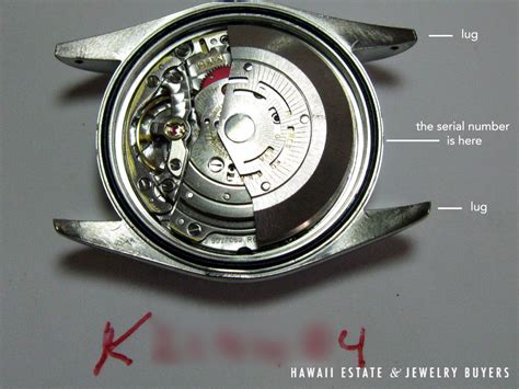 rolex datejust or jaune|rolex datejust model numbers.